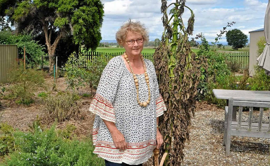 Rosemary Addis’ native garden drowned in a torrent of floodwater and her laundry was also destroyed. Rosemary Addis’ native garden drowned in a torrent of floodwater and her laundry was also destroyed.